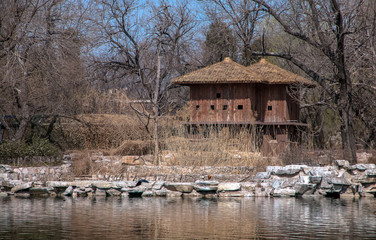 wooden house near the lake, Beijing.
- 115383985