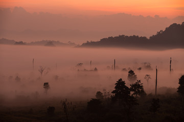 Naklejka premium Fog mountain in the early morning sunrise