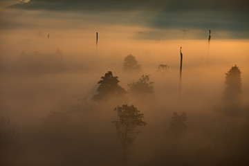 Fog mountain in the early morning sunrise