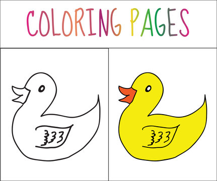 Coloring book page. Duck. Sketch and color version. Coloring for kids. Vector illustration