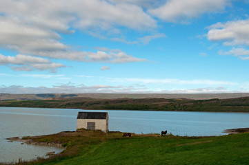 Fototapeta na wymiar Islanda: il paesaggio di Egilsstadir sulle sponde del fiume Lagarfljot il 29 agosto 2012. Egilsstadir è la più grande città dell'Islanda orientale