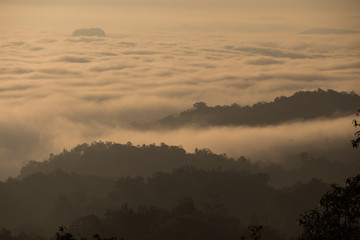 Naklejka premium Fog mountain in the early morning sunrise