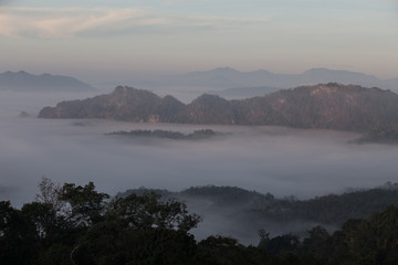 Fog mountain in the early morning sunrise