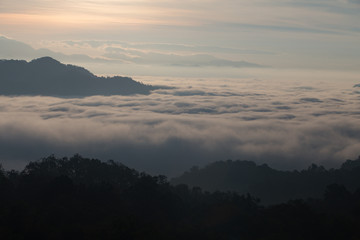 Fog mountain in the early morning sunrise