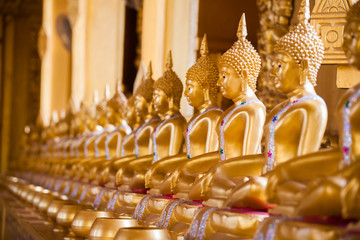 Golden Buddha statues