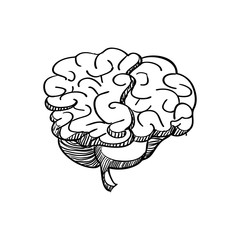 Human organ concept represented by brain icon. Isolated and sketch illustration.