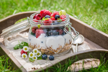 Muesli with yogurt and berry fruits in sunny day