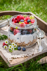 Berry fruits and yogurt with granola in garden
