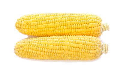 Corns on white background