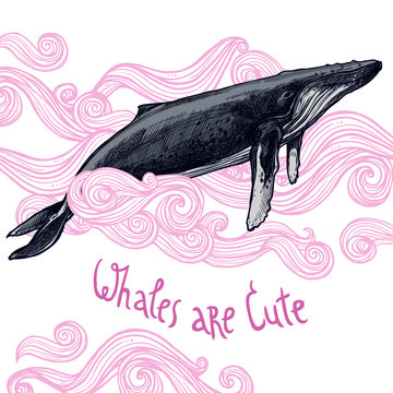Cute Illustration With Whale