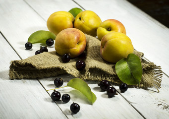 Apricots and black currant on a white wooden background