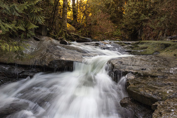 Naklejka na ściany i meble Beautiful River Stream in nature of British Columbia, Canada.