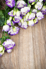 Eustoma flowers on wooden background