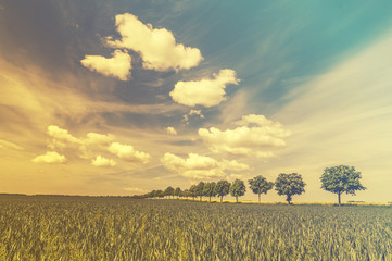 panorama wiosennego pola   © Mike Mareen