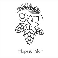 Hops and malt. Vector illustration. Sign in beer production.
