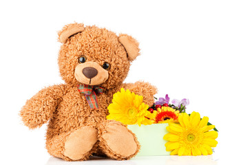 Colorful flowers and a teddy bear on white background