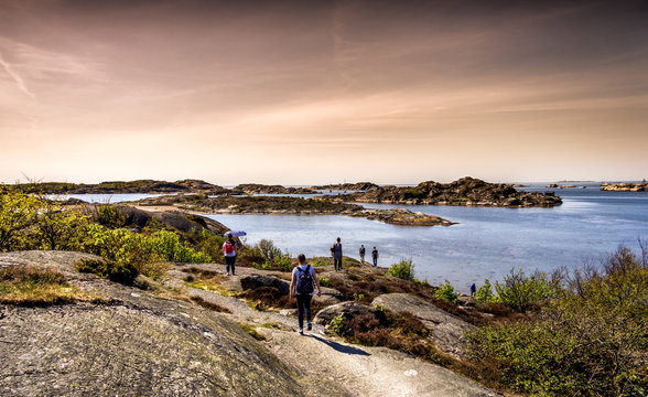 G&ouml;teborger Sch&auml;rengarten - Styrs&ouml;, Schweden.
