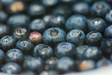 blueberry