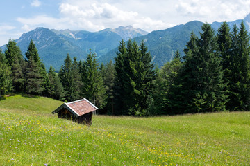 Alpine pasture with mountains, a hut and a meadow