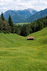 Fototapeta na wymiar Alpine pasture with mountains, a hut and a meadow