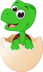 cute baby turtles hatching