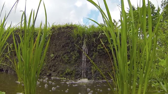 Abstract, low angle, perspective shot of a thin stream of water tumbling down an earthen dam marking the transition between terrace levels on a rice plantation. Video 1920x1080