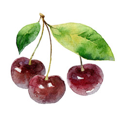 Three cherry berries on white background - 115392718