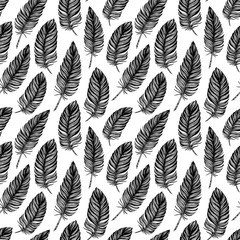 Seamless pattern. Hand drawn vector vintage illustration - Feath
