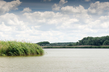 Summer vacation on the river bank. Hunting for wild ducks. White clouds over the forest lake.