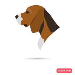 Beagle hunter dog color flat icon - obrazy, fototapety, plakaty