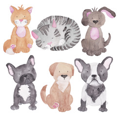 Cats Dog Set watercolor Illustration Pet Clipart Hand-painted Animal