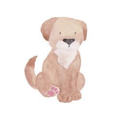 Cats Dog Set watercolor Illustration Pet Clipart Hand-painted Animal