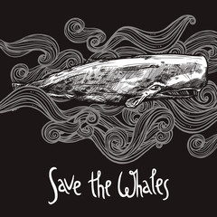Fototapeta premium Hand Drawn Sperm Whale On Chalkboard
