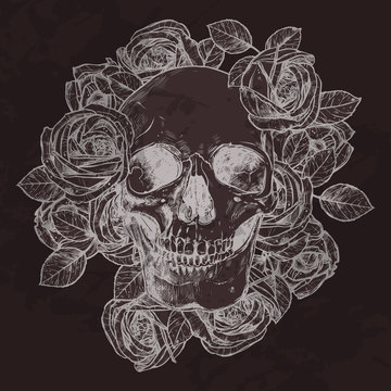 Skull And Roses On Chalkboard