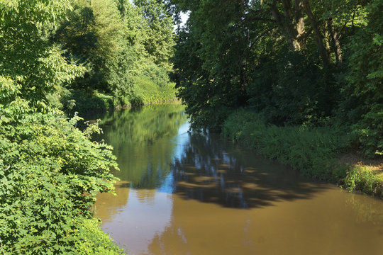 Auwald an der Leitha