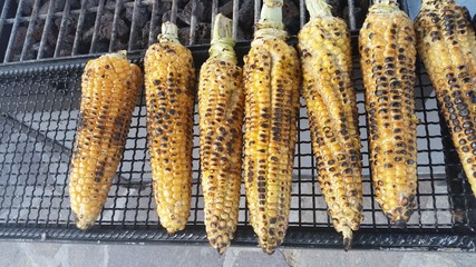ears of roasted corn © robypangy