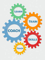 coach, learn, train, skills, teach in grunge flat design gears,