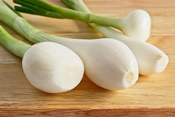 Young onions