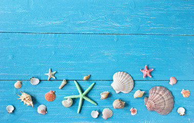 shells and starfishes on blue wooden background