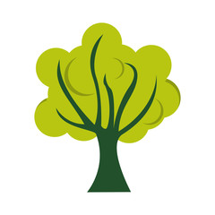 tree green flat icon isolated vector illustration
