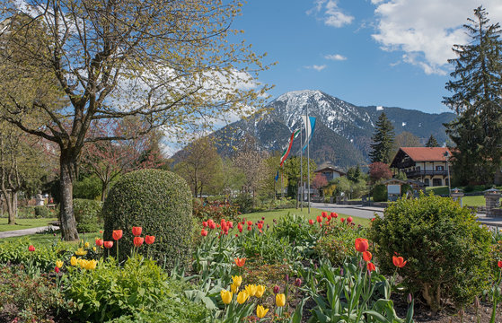 Kurort Rottach-Egern mit Tulpenbeet und Blick zum Wallberg