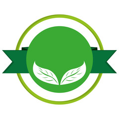 green leaves leaf nature isolated vector illustration