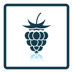 Icon of Raspberry