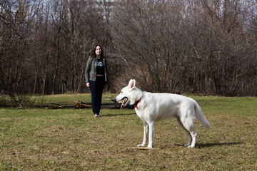 Obraz na płótnie Canvas Woman playing with white Swiss shepherd dog