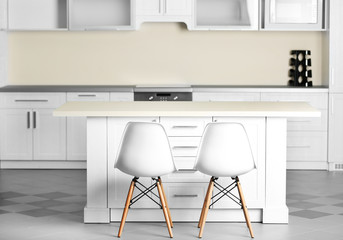 New modern kitchen interior