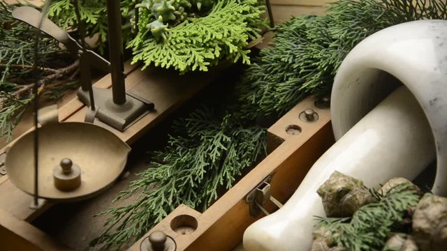 Chi Ho&agrave;ng đ&agrave;n Sipris Servi Նոճի ברוש Cupressus צמחי מרפא Cipresso سرو Cipr&eacute;s Zypressen Cyprys Erboristeria Cypress Herbalism Herbolog&iacute;a Pflanzenheilkunde Ziołolecznictwo Herboristerie تداوي بالأعشاب