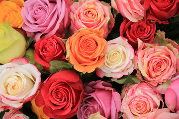 Multicolored wedding roses