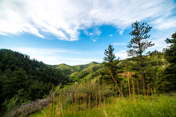 Peaks above the Canyon Road