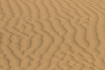 Abstract detail of sand in the dunes