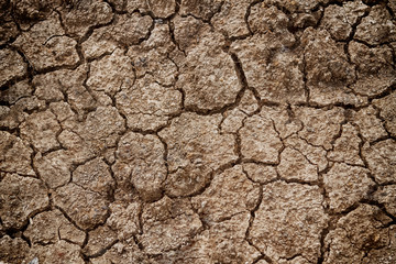 Cracks in the dried soil for texture and background